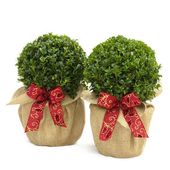 Gifts
