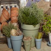 Pots